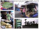 Cibodas Mandalawangi 03
