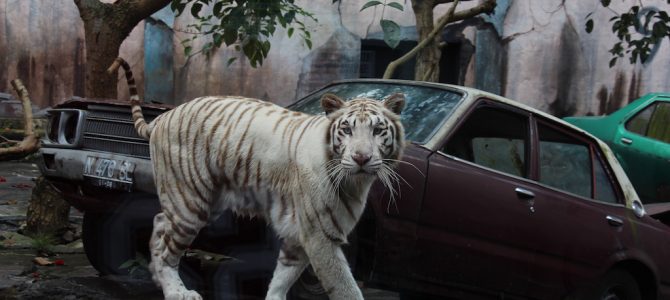 Batu Secret Zoo Jatim Park (Malang)