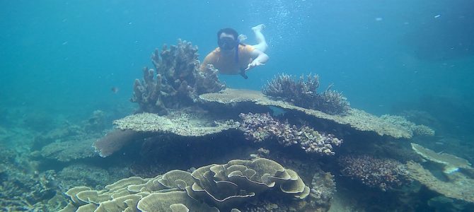 Serunya island hopping di Karimunjawa