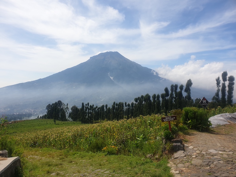 Taman Wisata Alam Posong (Temanggung)